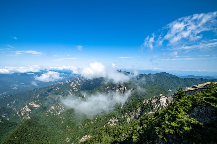 李亚鹏简历(李亚鹏和王菲是如何在一起的？)