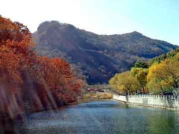 泰州汽车用品汽配城(中国四大汽配城——陈田村)